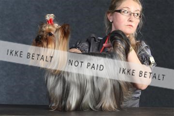 132082_le_ 01_IMG_0350.JPG