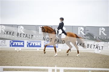 181449_jss_02__6II4132.JPG
