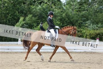 156196_nn_01_IMG_6219.JPG
