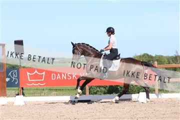 181449_bc_01R62_6010.JPG