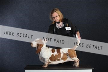 132082_le_ 01_IMG_0713.JPG