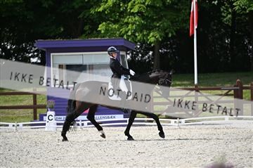 176255_mtp_01_Z09_2532.JPG