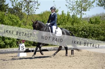 139815_ms_01__MS27167.JPG