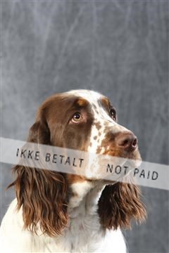 129608_le_ 01_0524.JPG