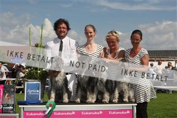 130370_se_03_IMG_7627.JPG