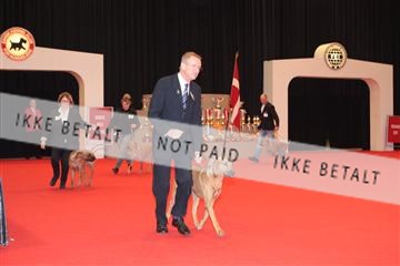 126827_tl_04_IMG_9830.JPG