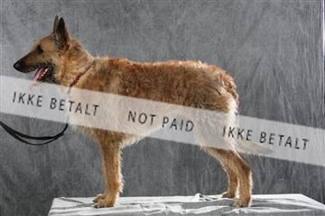 128239_le_ 04_0021.JPG