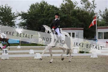 156196_nn_01_IMG_5204.JPG