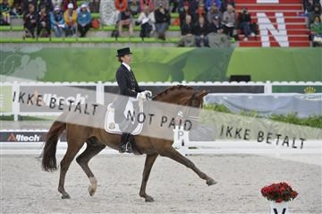 144462_bc_08__BC12681.JPG