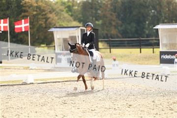181894_mtp_02_R62_2332.JPG