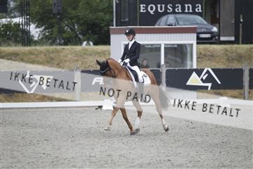 166078_rhj_01__J7R4270.JPG