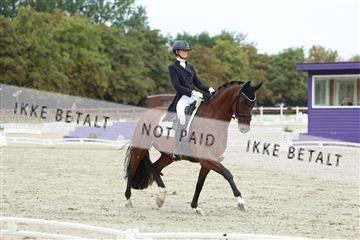 181923_mtp_03_R62_7791.JPG