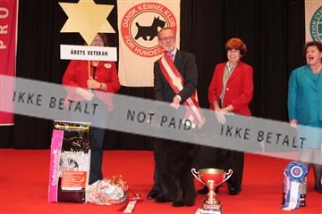 126827_tl_04_IMG_0206.JPG