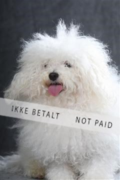 130054_le_ 01_0166.JPG