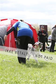 134871_ms_04_IMG_0136.JPG