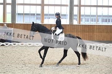 182176_kbb_01_Z092905.JPG
