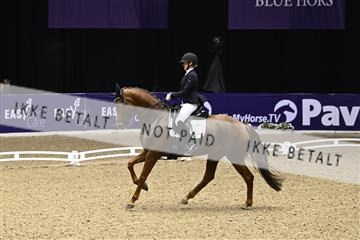 182194_kbb_03_Z091155.JPG