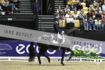 182194_kbb_03_Z092556.JPG