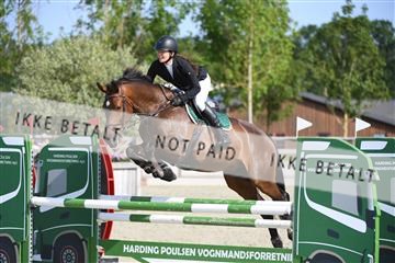 169152_abo_01_D05_0558.JPG
