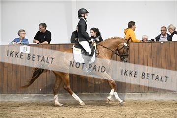 181738_kbb_01_Z090081.JPG