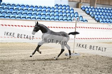 181754_kbb_01_Z092999.JPG