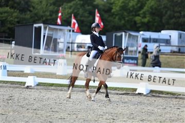 181894_mtp_05_R62_5299.JPG
