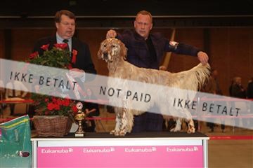 124188 _tl_02_IMG_9659.JPG