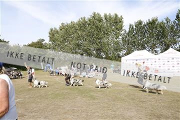 181848_kar_01__62_0534.JPG