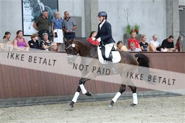 181852_mtp_03_R62_2449.JPG