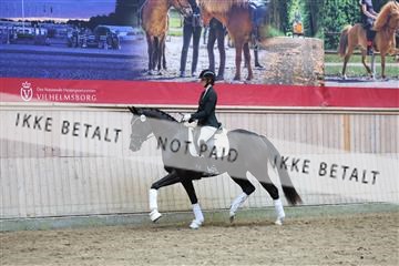 181887_mtp_04_R62_9259.JPG