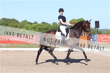 181449_bc_01R62_6291.JPG