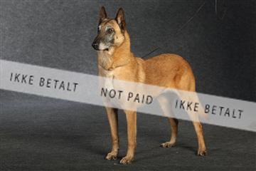 132082_le_ 01_IMG_0860.JPG