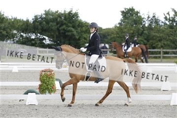 166078_rhj_01__J7R2217.JPG