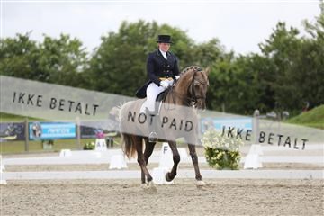 156196_nn_01_IMG_5366.JPG