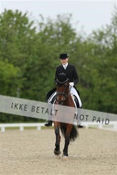 139835_sg_02_IMG_8517.JPG