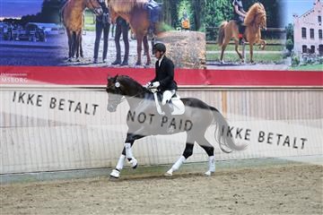 181887_mtp_05_R62_9439.JPG
