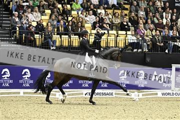 182194_kbb_03_Z092411.JPG