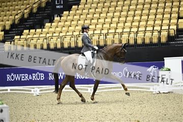 182194_kbb_02_Z097511.JPG