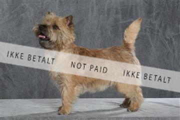 130054_le_ 03_0091.JPG