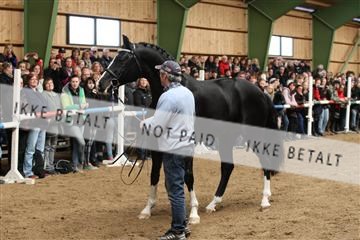 139265_kl_1_8M1Q6227.JPG