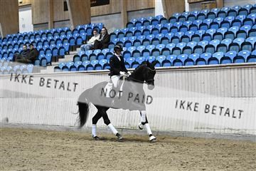 182241_kbb_01_Z094860.JPG