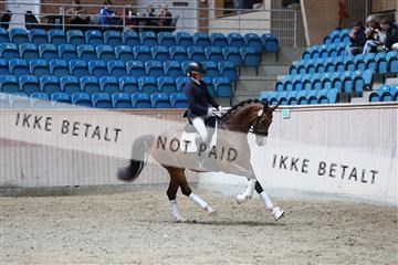 181887_mtp_01_R62_7091.JPG