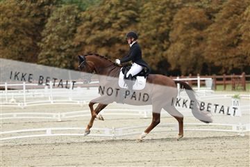 181923_mtp_03_R62_7324.JPG