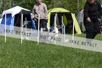 134871_ms_02_IMG_2874.JPG