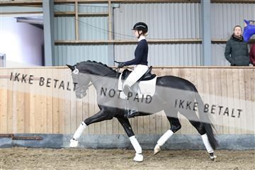 182242_tbj_01_R62_6659.JPG