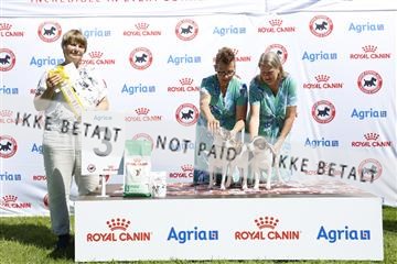 181564_ch_01__62_8794.JPG