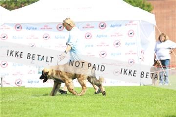 181564_rin_01_R62_7719.JPG