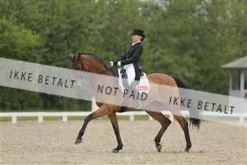 139835_sg_02_IMG_8727.JPG
