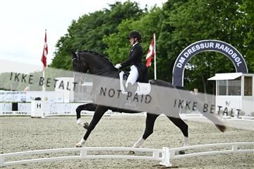 181449_kbb_03_Z092007.JPG