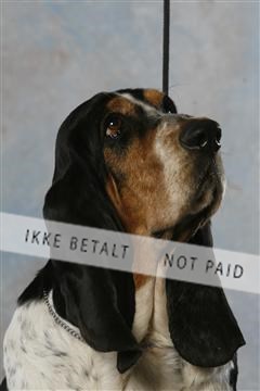 5493_sme _03__MG_9820.JPG